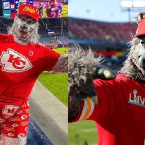 Accused of Stealing $800,000 in 11 Bank Robberies, 'Chiefsaholic' Xavier Babudar Finally Pleads Guilty