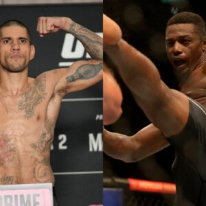 Alex Pereira's Sons' Sparring Footage Prompts Comparisons with Israel Adesanya and Jamahal Hill Among Fans