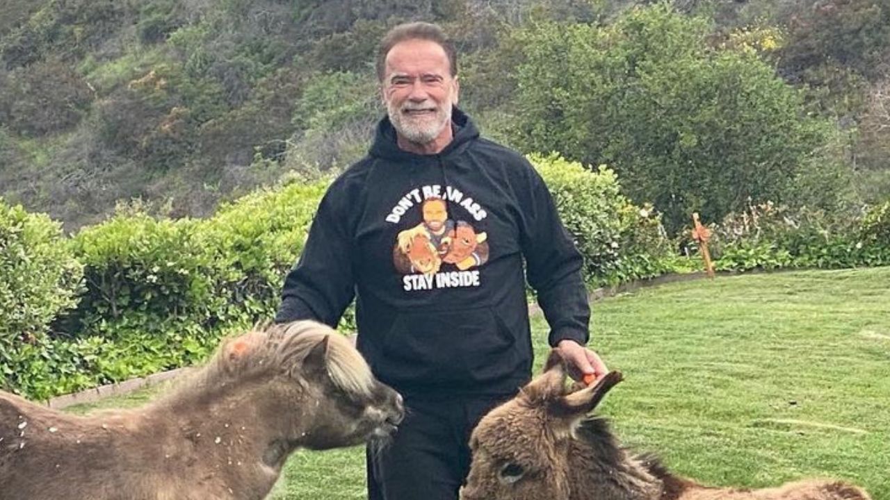 Arnold Schwarzenegger Debunks the Role of Zinc in Preventing Common Colds