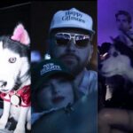 "Can We Pet Your Dog?": Fans Stunned After Arizona Cardinals React to Cute Taylor Swift Photo From Coachella