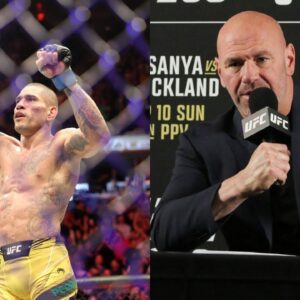 Dana White Signs Kickboxer Who Handed Alex Pereira His Last Defeat at Glory