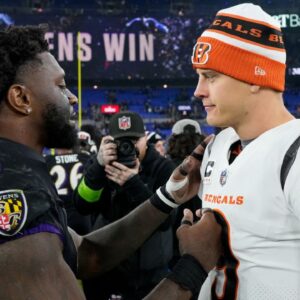 Bengals’ Official Account Blatantly Roasts Ravens Fan for Trolling Their 57-Year Super Bowl Drought