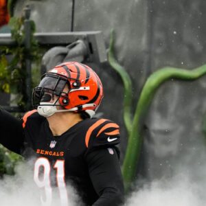 Cincinnati Bengals News: Lavonte David Says Trey Hendrickson Ain't the Flashiest, But Sure Deserves His Payday