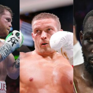 Undisputed Heavyweight Champ Oleksandr Usyk Picks Terence Crawford for Victory over Canelo Alvarez