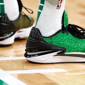 Is Jaylen Brown Signed To Nike?