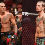 Sean O'Malley Foresees Alex Pereira's Boxing Match Being as Big as Conor McGregor vs. Floyd Mayweather