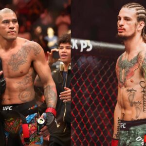 Sean O'Malley Foresees Alex Pereira's Boxing Match Being as Big as Conor McGregor vs. Floyd Mayweather