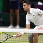 Fan Claims Novak Djokovic Has Not Achieved Something Yet in Tennis, Leaves Tennis World in Splits