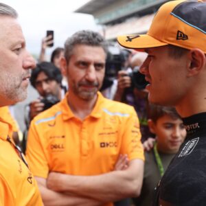 McLaren Bosses, Not Race Engineer Should Have Told Lando Norris to Give Up His Win, Says F1 Expert