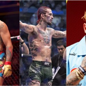 “Dude’s Terrifying”: Sean O’Malley ‘Loves’ the Idea of Alex Pereira vs. Jake Paul