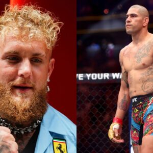 Fans Predict Alex Pereira Will 'Murder' Jake Paul After He Calls Out UFC Champ