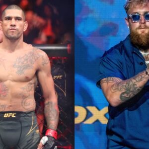 Chael Sonnen Shuts Down Jake Paul, Reminds Him UFC Ref Called Alex Pereira’s Punches the Loudest Ever