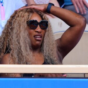 Serena Williams' Video of Vibing At Green Day Concert Goes Viral