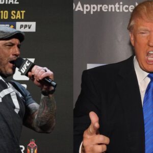 “Everything Is Cool”: Joe Rogan Hilariously Squashes the Donald Trump Beef