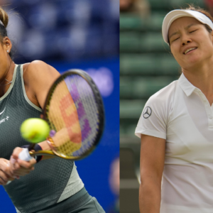 Qinwen Zheng and Li Na