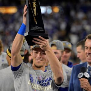 You Don't Have To Be A Star To Be One In The World Series