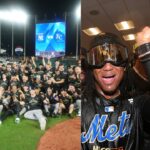 New York, New York. so good they made it twice - MLB LCS