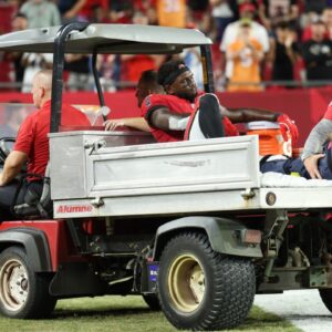 Tampa Bay Buccaneers wide receiver Chris Godwin (14) is carted off the field against the Baltimore Ravens in the fourth quarter at Raymond James Stadium.