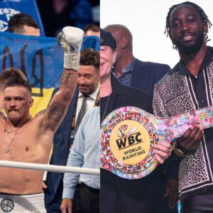 Oleksandr Usyk (L), Terence Crawford (R)