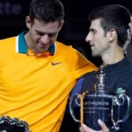 Juan Martin del Potro (L) and Novak Djokovic (R