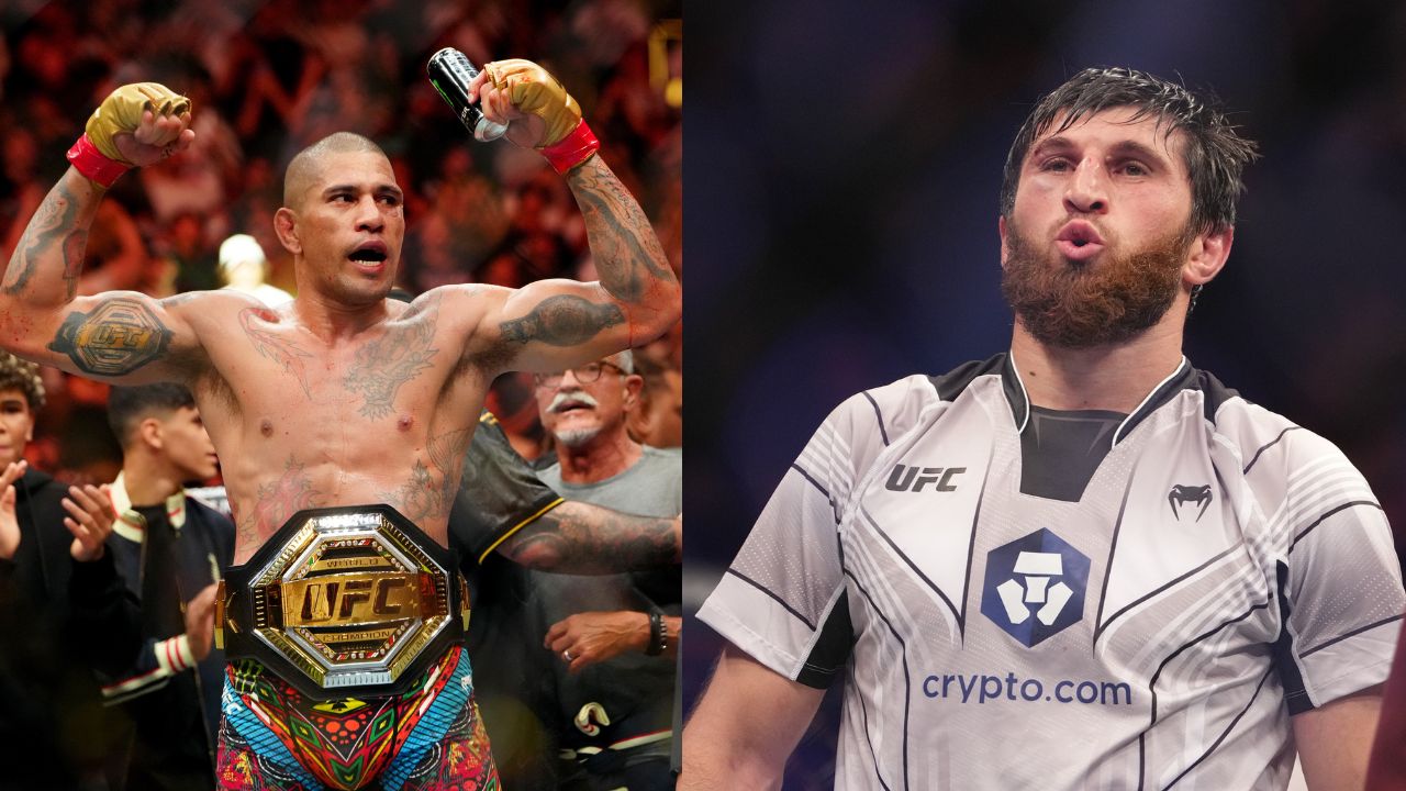 Alex Pereira (L), Magomed Ankalaev (R)