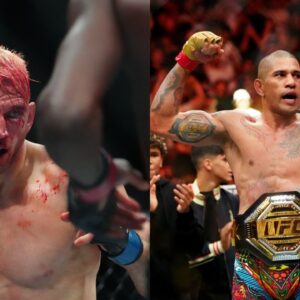 Dan Hooker (L), Alex Pereira (R)