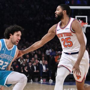 Charlotte Hornets guard Vasilije Micic (22) makes a move against New York Knicks forward Mikal Bridges (25) during the first half at Madison Square Garden.