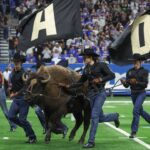 Colorado Buffaloes mascot Ralphie the Buffalo runs on the field before the game against the Brigham Young Cougars at Alamodome.