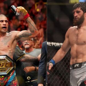 Alex Pereira (L), Magomed Ankalaev (R)