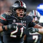 South Carolina Gamecocks defensive back Nick Emmanwori (21) celebrates a play against the Kentucky Wildcats in the second half at Williams-Brice Stadium.