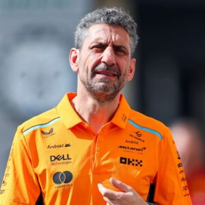 Andrea Stella, Team Principal of McLaren gestikuliert, Gestik, Qualifying, F1 Grand Prix of Abu Dhabi, Yas Marina Circuit am 07. December 2024 in Abu Dhabi, United Arab Emirates.