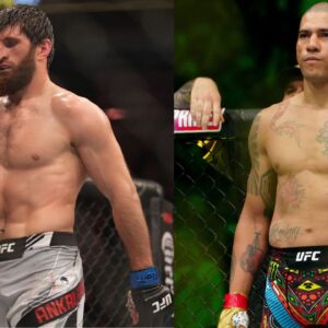 Magomed Ankalaev (L) and Alex Pereira (R)