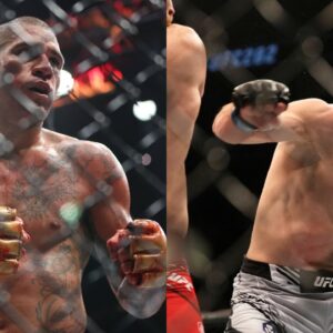 Alex Pereira (L), Magomed Ankalaev (R)