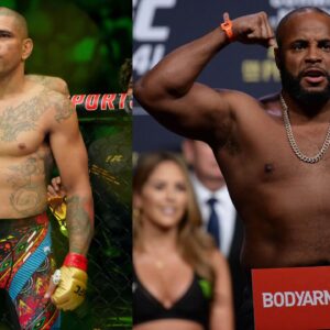 Alex Pereira Daniel Cormier