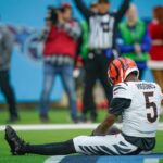 Cincinnati Bengals wide receiver Tee Higgins (5) takes a breath after catching a touchdown pass against the Tennessee Titans during the second quarter at Nissan Stadium in Nashville, Tenn.