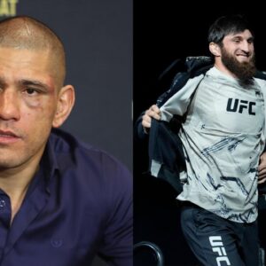 Alex Pereira (L), Magomed Ankalaev (R)