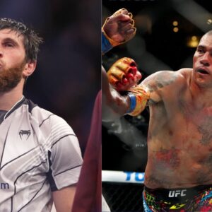 Magomed Ankalaev (L), Alex Pereira (R)