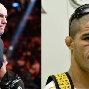 Joe Rogan (L), Rousimar Palhares (R)