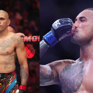 Alex Pereira (L), Carlos Ulberg (R)