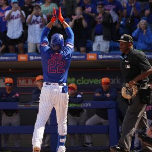 Can Juan Soto Drag Mets to The World Series?