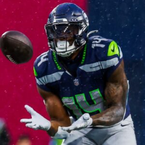 Nov 24, 2024; Seattle, Washington, USA; Seattle Seahawks wide receiver DK Metcalf (14) catches a pass against the Arizona Cardinals during the fourth quarter at Lumen Field.