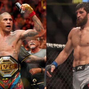 Alex Pereira (L), Magomed Ankalaev (R)