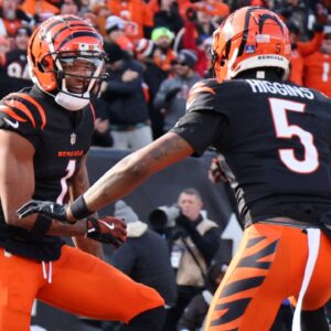 Dec 22, 2024; Cincinnati, Ohio, USA; Cincinnati Bengals wide receiver Ja'Marr Chase (1) celebrates a touchdown with wide receiver Tee Higgins (5) during the first quarter against the Cleveland Browns at Paycor Stadium.
