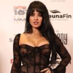 Nina Daniele walks the red carpet at the Fighters Only World MMA Awards at The Theatre at Virgin Hotels on December 5, 2024 in Las Vegas, Nevada.