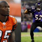 Chad Johnson, Ray Lewis