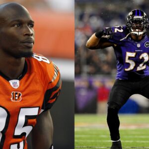 Chad Johnson, Ray Lewis
