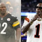 James Harrison (L) and Chad Johnson (R)