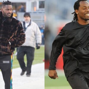 Antonio Brown and Asante Samuel
