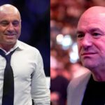 Joe Rogan (L), Dana White (R)