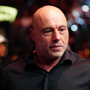 Joe Rogan during UFC310 - Pantoja vs Asakura